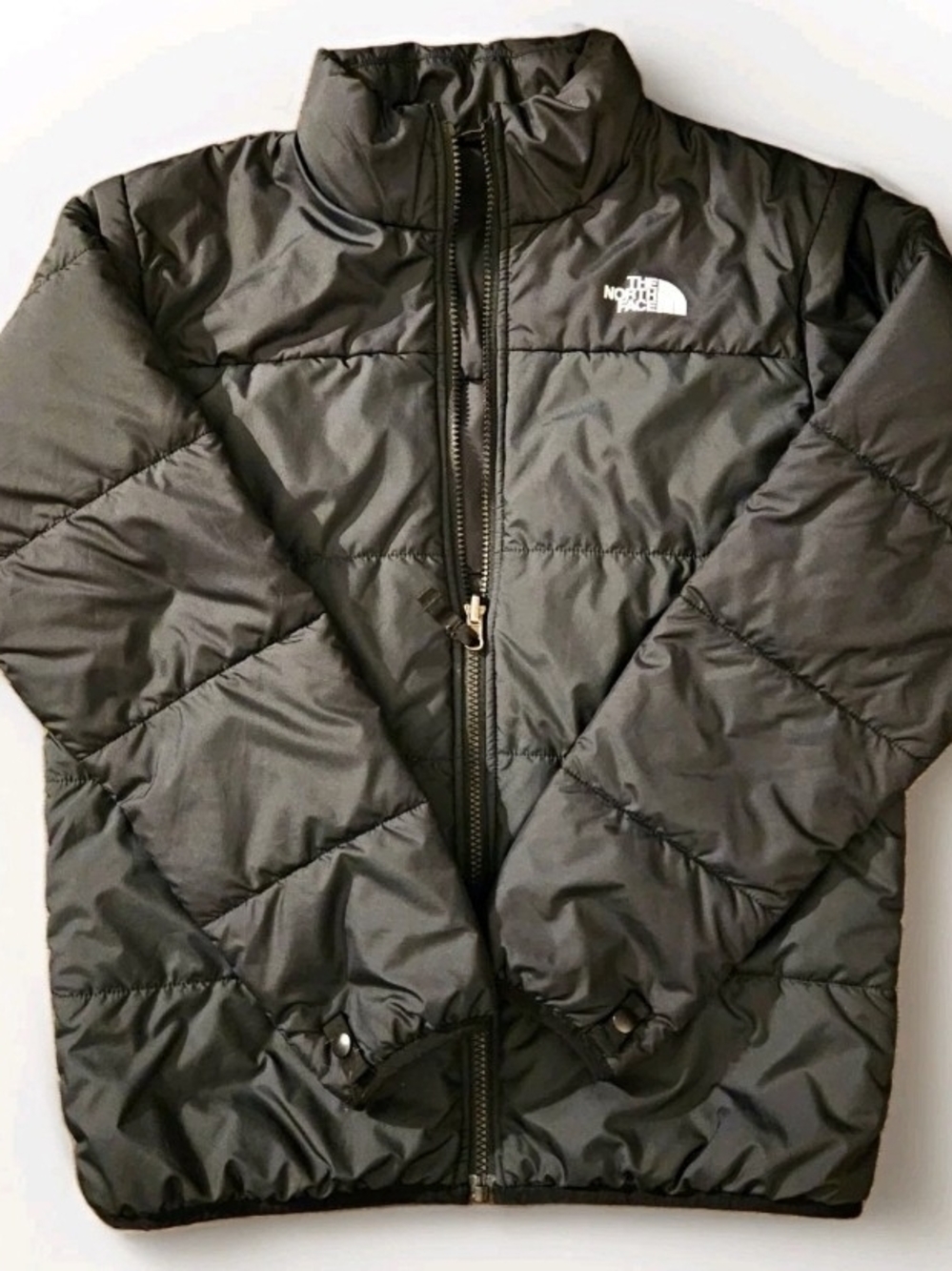 The North Face Puffer Jacket Black Junior Large (14-16)